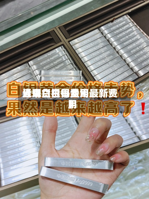 近来【现货白银费用盎司白银每盎司最新费用】