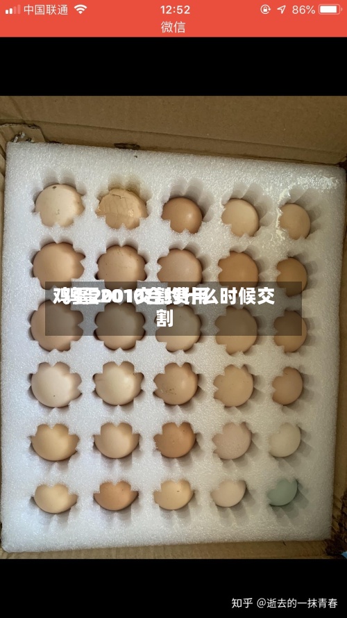 鸡蛋2001交割费用/鸡蛋2010合约什么时候交割-第2张图片