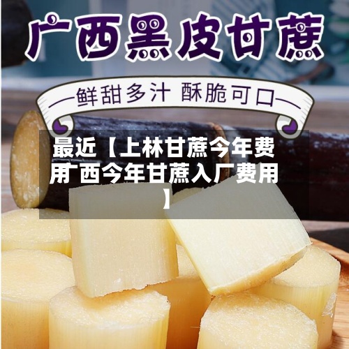 最近【上林甘蔗今年费用,广西今年甘蔗入厂费用】-第3张图片