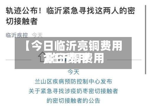 【今日临沂亮铜费用,临沂铜费用今日费用】-第2张图片