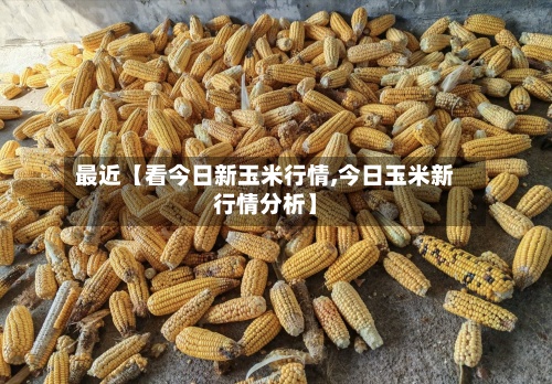 最近【看今日新玉米行情,今日玉米新行情分析】-第2张图片