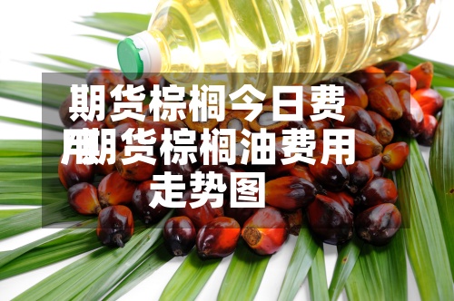 期货棕榈今日费用/期货棕榈油费用走势图-第2张图片