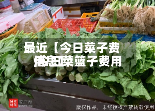 最近【今日菜子费用,今日菜篮子费用信息】