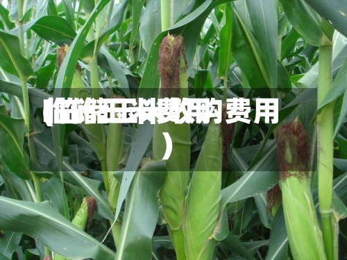 临储玉米费用(临储玉米收购费用)-第2张图片