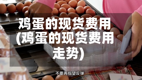 鸡蛋的现货费用(鸡蛋的现货费用走势)