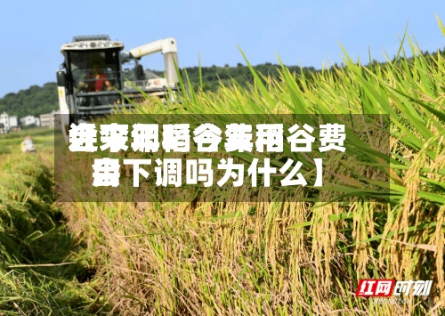 近来【今年稻谷费用会下调吗今年稻谷费用会下调吗为什么】-第2张图片