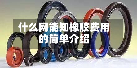 什么网能知橡胶费用
的简单介绍-第2张图片