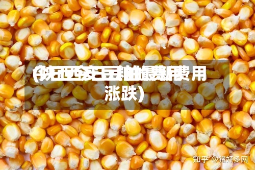 今日西安豆粕的费用(陕西今日豆粕最新费用涨跌)