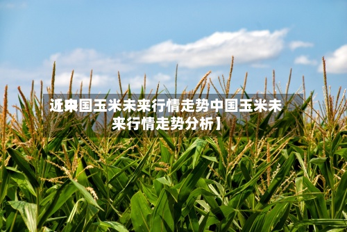 近来【中国玉米未来行情走势中国玉米未来行情走势分析】-第2张图片