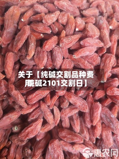 关于【纯碱交割品种费用,纯碱2101交割日】