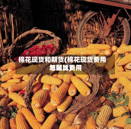 棉花现货和期货(棉花现货费用与期货费用怎么比)
