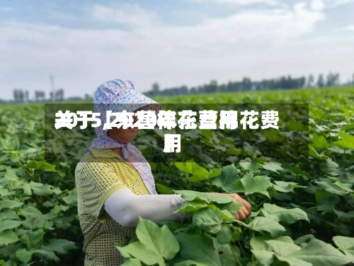 关于【东营棉花费用2015,2020年东营棉花费用】-第2张图片