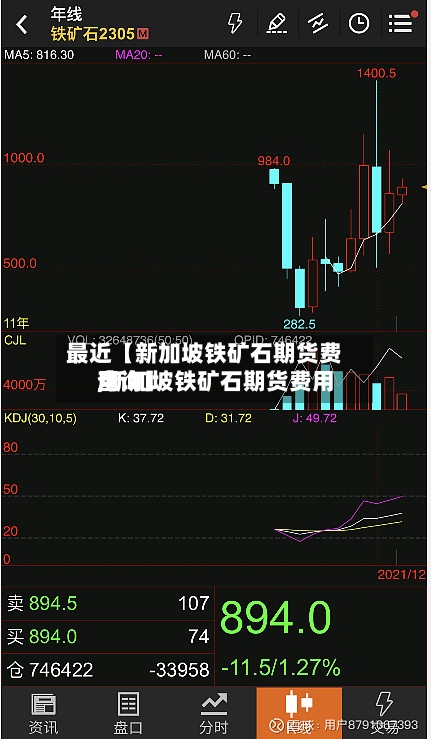 最近【新加坡铁矿石期货费用,新加坡铁矿石期货费用查询】-第2张图片
