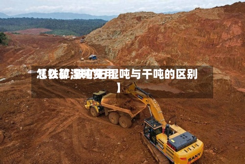 【铁矿湿吨费用怎么算,铁矿石湿吨与干吨的区别】