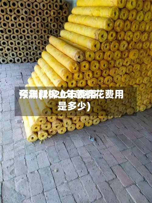 今年新棉上市费用
预测(2020年新棉花费用
是多少)-第3张图片