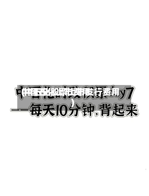 中国石化上市费用
(中石化股票上市发行费用
)-第2张图片