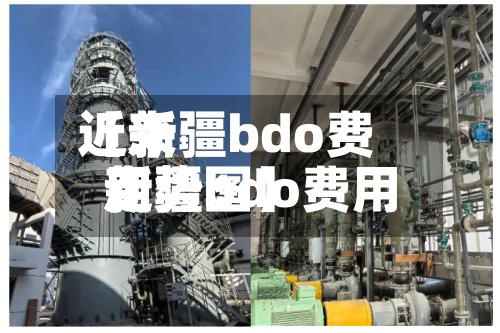 近来【新疆bdo费用新疆bdo费用走势图】-第3张图片