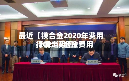 最近【镁合金2020年费用,2021镁合金费用行情走势图】-第2张图片