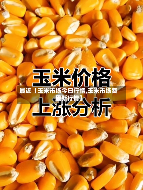 最近【玉米市场今日行情,玉米市场费用最新行情】-第2张图片