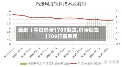 最近【今日鸡蛋1709期货,鸡蛋期货1709行情费用】-第2张图片