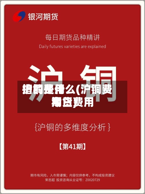 沪铜费用指的是什么(沪铜费用今日费用期货)