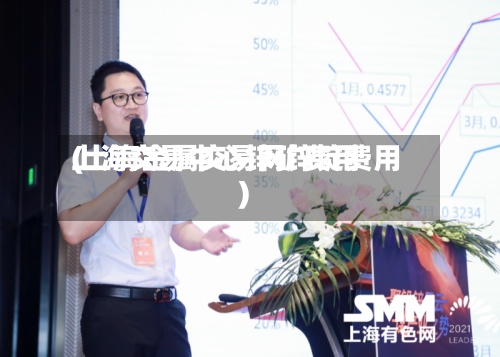上海交易中心锌矿费用(上海金属交易网锌锭费用)-第2张图片