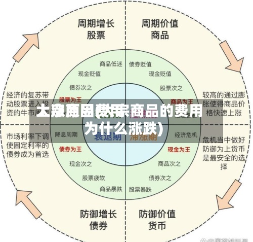 大宗商品费用上涨原因(大宗商品的费用为什么涨跌)