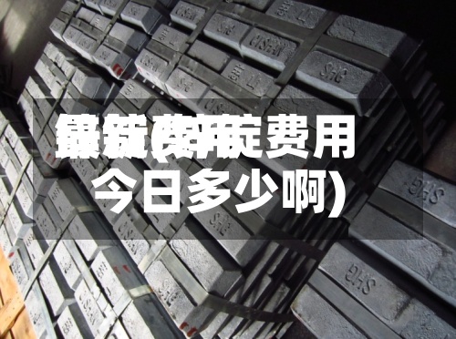 锌锭费用最新(锌锭费用今日多少啊)-第2张图片