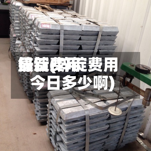 锌锭费用最新(锌锭费用今日多少啊)