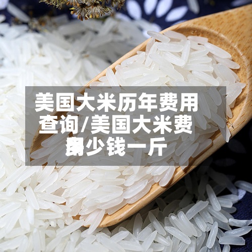 美国大米历年费用查询/美国大米费用多少钱一斤-第2张图片