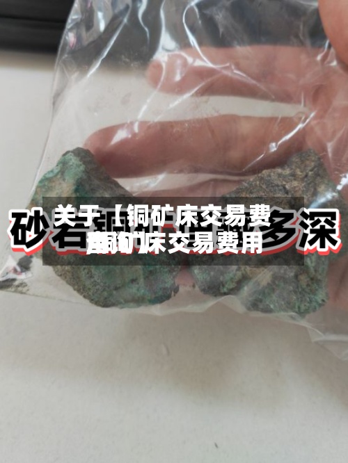 关于【铜矿床交易费用,铜矿床交易费用查询】