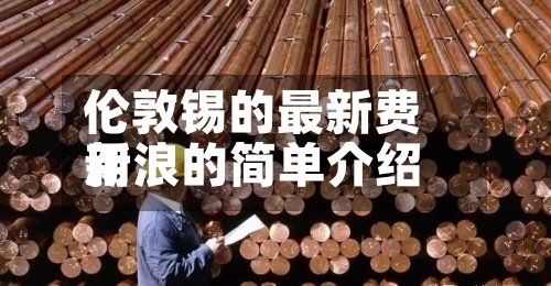 伦敦锡的最新费用
新浪的简单介绍-第2张图片