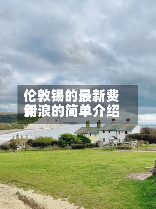 伦敦锡的最新费用
新浪的简单介绍-第3张图片