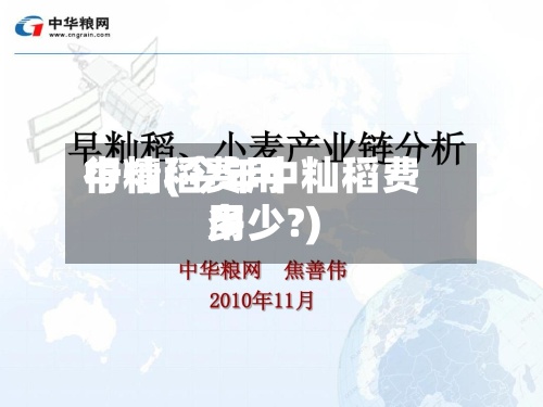 中籼稻费用
行情(今年中籼稻费用
多少?)-第3张图片