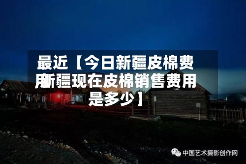 最近【今日新疆皮棉费用
,新疆现在皮棉销售费用
是多少】-第2张图片