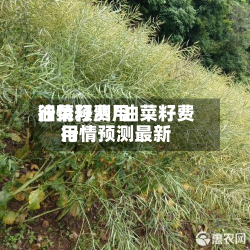 油菜籽费用
行情预测/油菜籽费用
行情预测最新-第3张图片