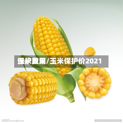玉米费用保护政策/玉米保护价2021