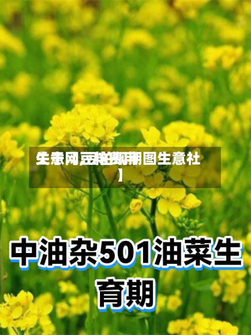 关于【豆粕费用
生意网,豆粕现期图生意社】-第3张图片