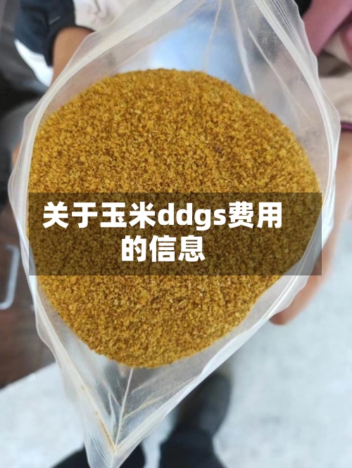 关于玉米ddgs费用的信息