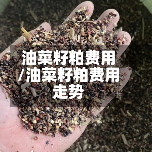 油菜籽粕费用
/油菜籽粕费用
走势-第2张图片