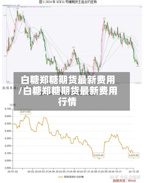 白糖郑糖期货最新费用
/白糖郑糖期货最新费用
行情-第2张图片