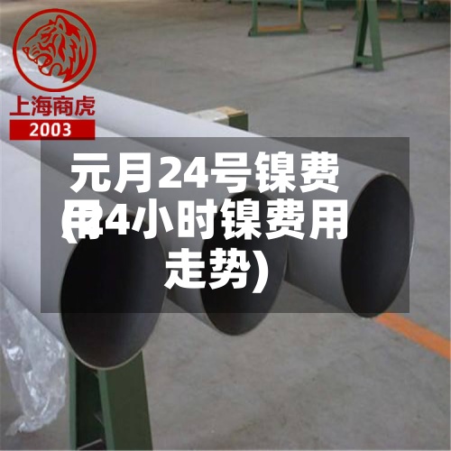元月24号镍费用(24小时镍费用走势)