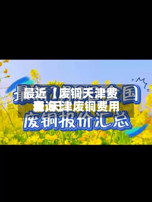 最近【废铜天津费用
表,天津废铜费用
查询】-第2张图片