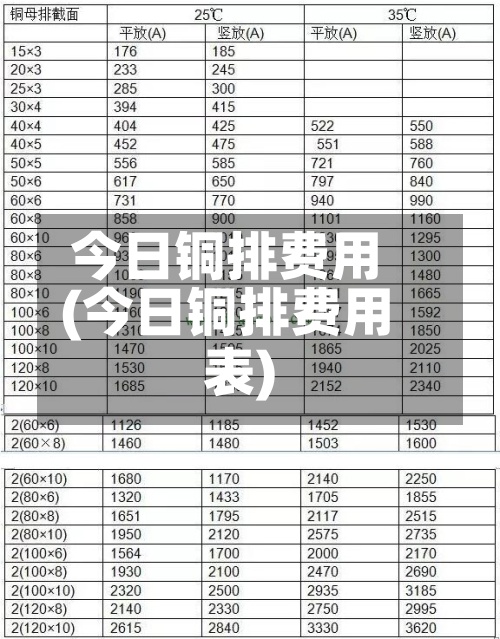 今日铜排费用(今日铜排费用表)