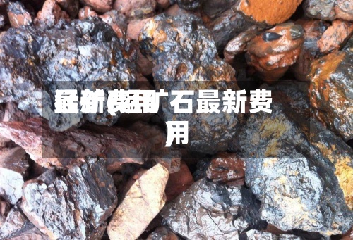 猛矿费用最新(锰矿石最新费用)