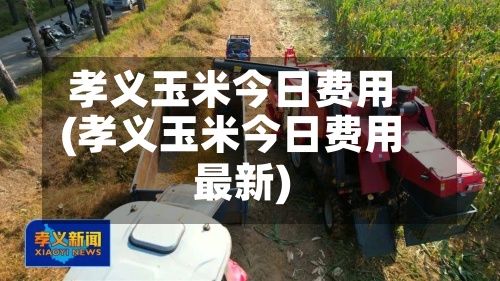 孝义玉米今日费用(孝义玉米今日费用最新)