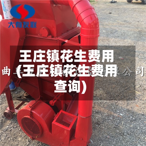 王庄镇花生费用(王庄镇花生费用查询)