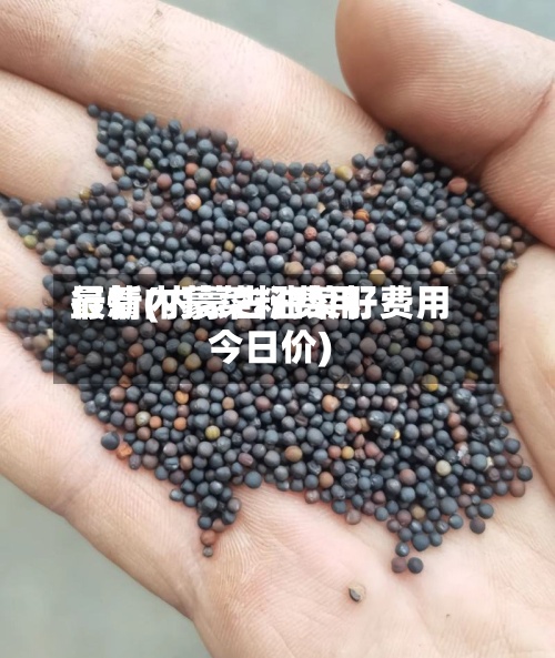 最新内蒙菜籽费用
行情(内蒙古油菜籽费用
今日价)-第3张图片