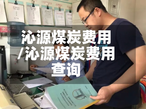 沁源煤炭费用/沁源煤炭费用查询