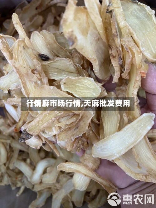 【天麻市场行情,天麻批发费用行情】